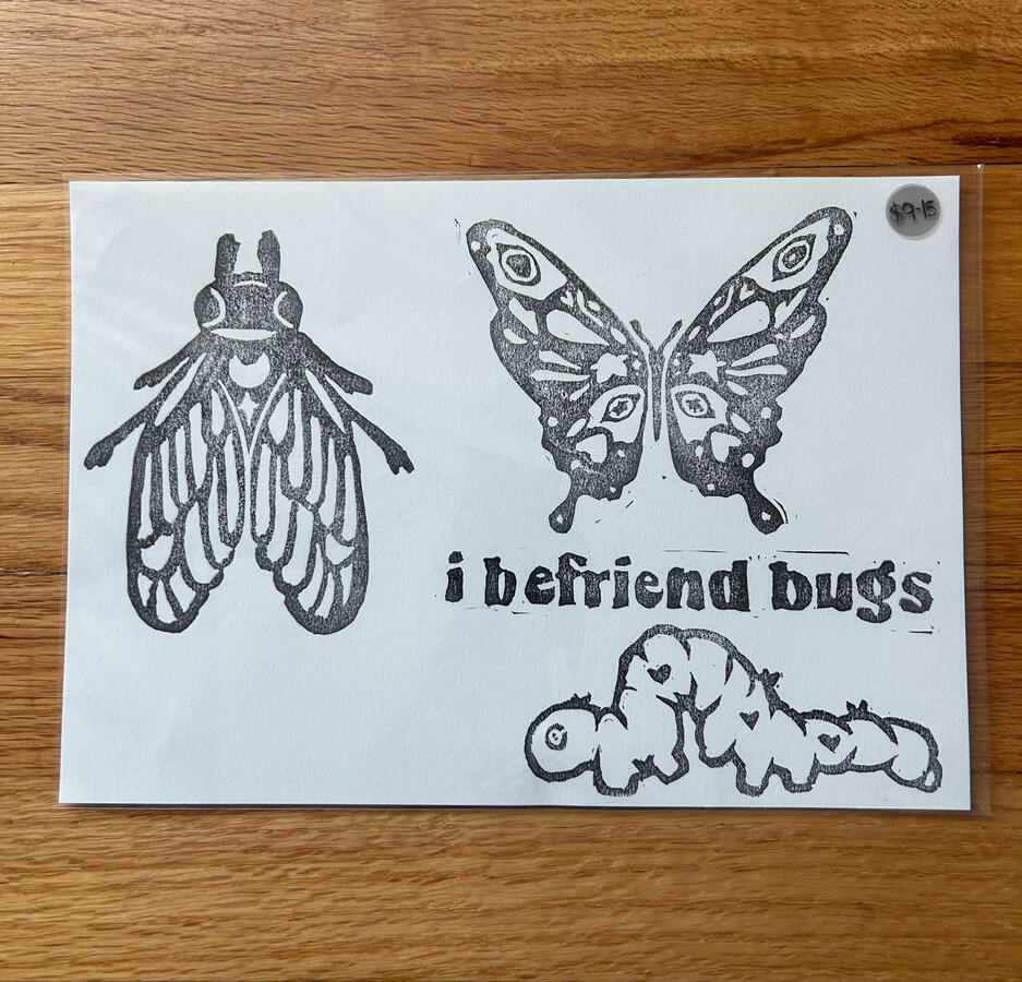 Befriend Bug Cicada 2025